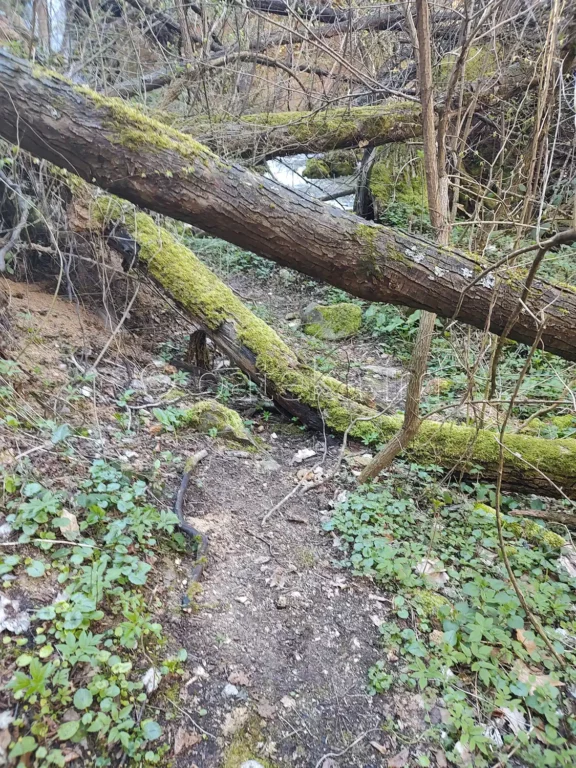 Пътеката до подножието на водопад Св. Георги между Горнослав и Орешец