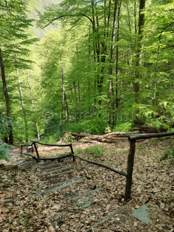 Стъпала по пътеката към втория и третия Фотински водопад