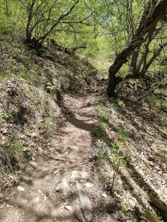 Пътеката към беседката с гледка към Фотинските водопади