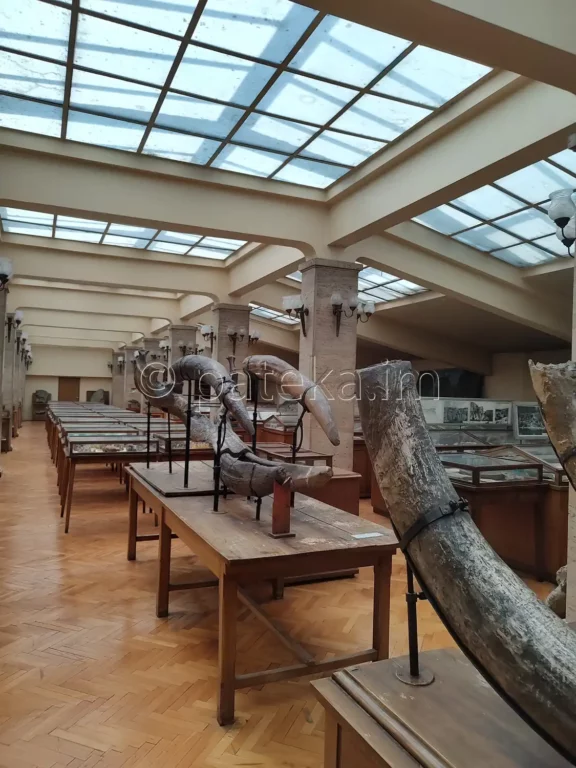Голямата зала в Музея по палеонтология и исторична геология - табелка