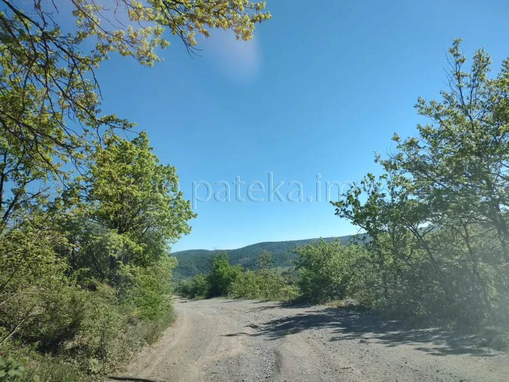 Черният път от с. Поцърненци към язовир Пчелина