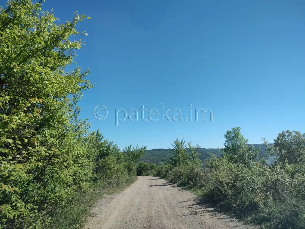 Черният път от с. Поцърненци към язовир Пчелина
