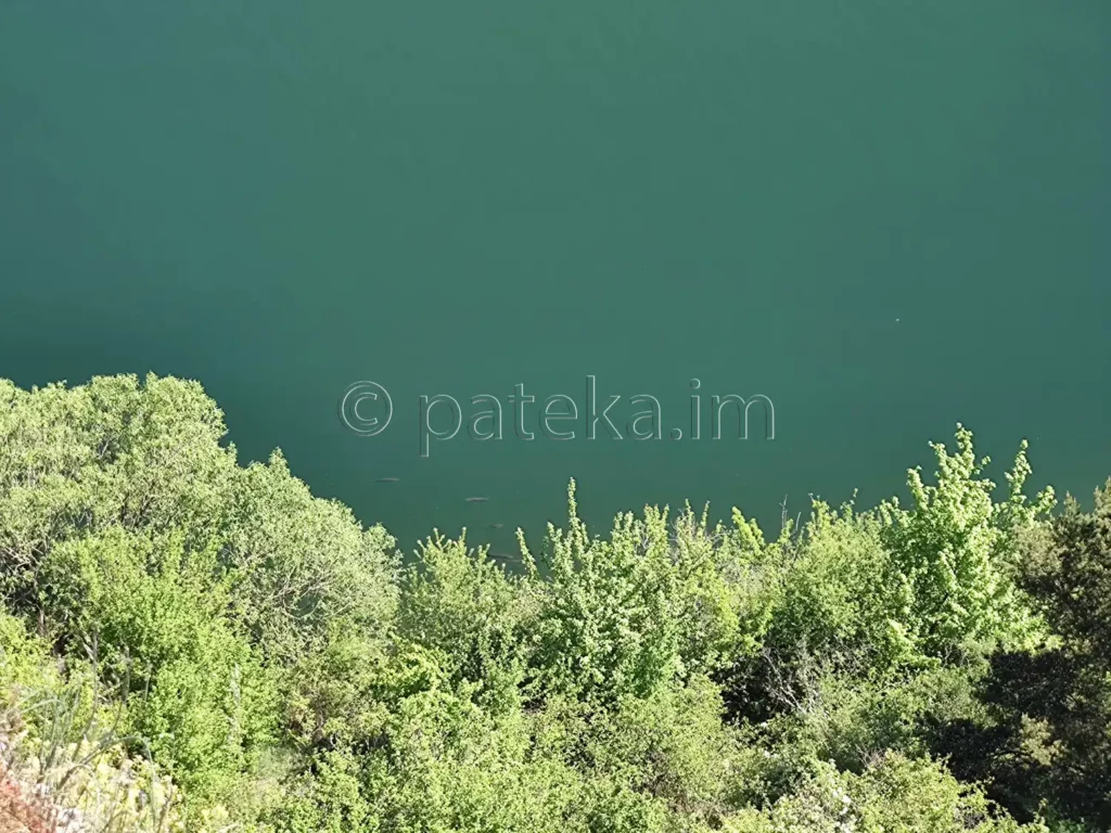Риби във водите на язовир Пчелина