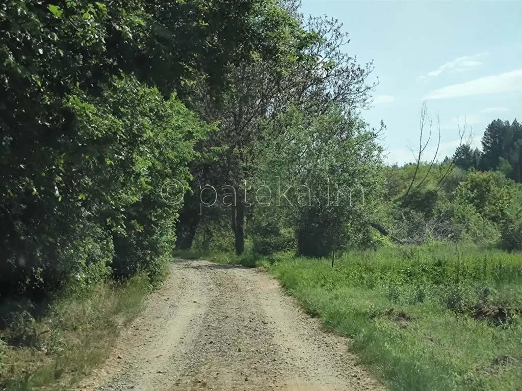 Черният път от с. Лиляч към Провиралкята