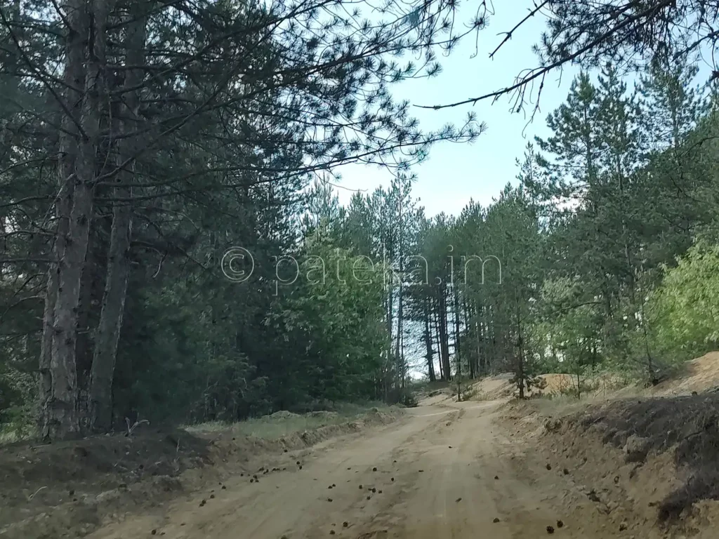 Черният път от с. Лиляч към Провиралкята