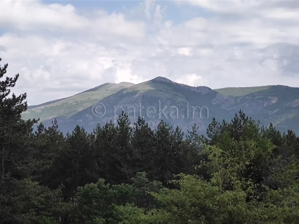Гледка към връх Виден и Конявска планина