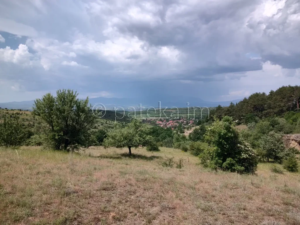 Гледка към с. Лиляч