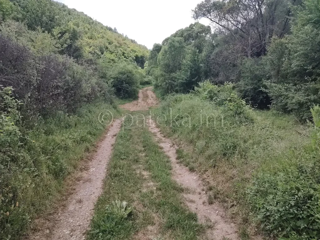 По пътя към църквата Св. св. Козма и Дамян Мърводол