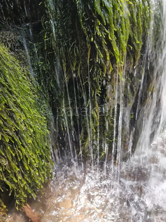 Врабчанският водопад