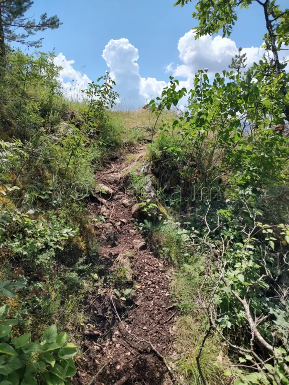 Пътеката към панорамната площадка над Врабчанския водопад
