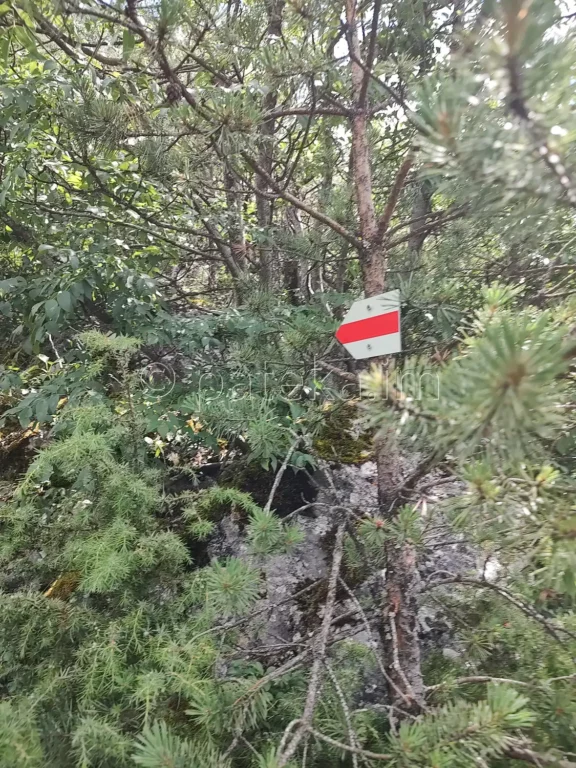 Червена лентова маркировка