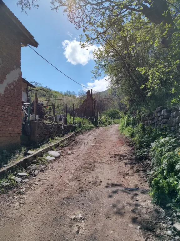 По маршрута за Беловската базилика