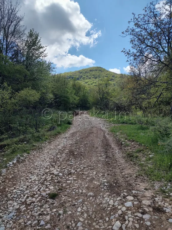 По маршрута за Беловската базилика