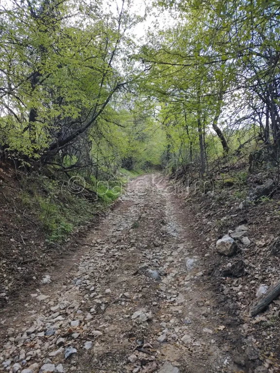 По маршрута за Беловската базилика
