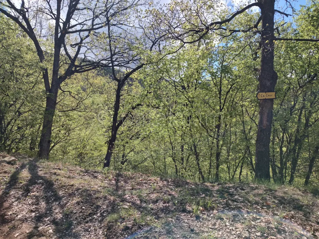 Указателна табелка по пътя към Беловската базилика от Голямо Белово