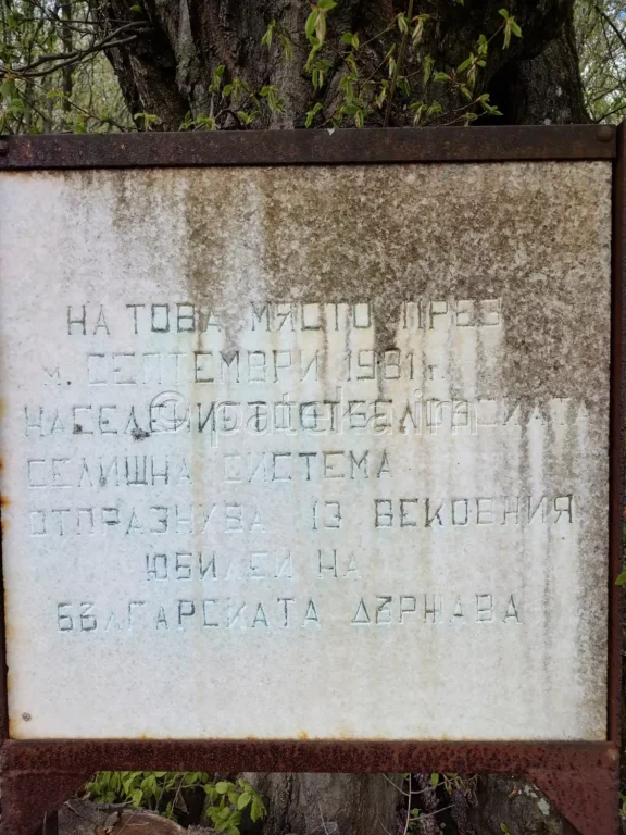 Паметна плоча 13 века българска държава