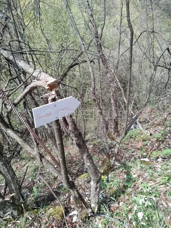 Пътеката към Соколова скала