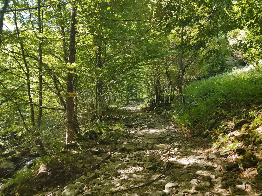 Маршрутът за хижа Плевен