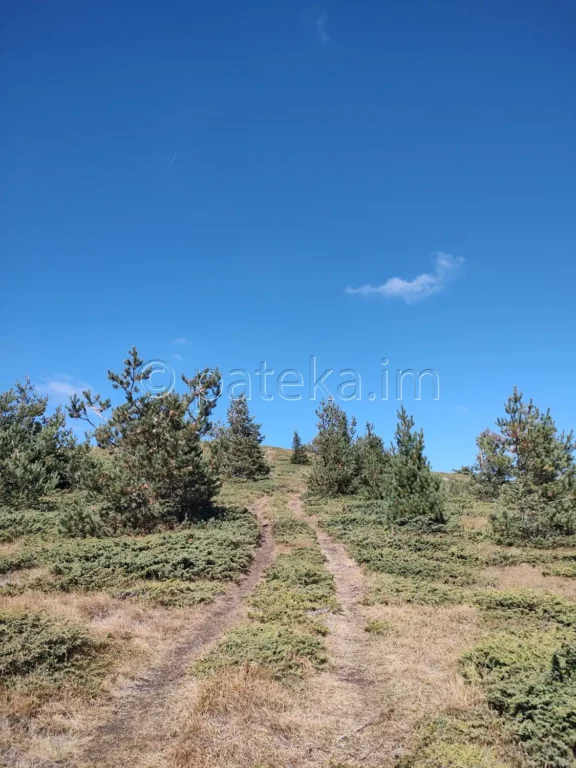 По маршрута към връх Белчева скала / Белчова скала