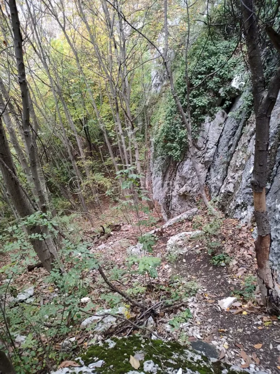 По жълтата лентова маркировка на екопътека Просечен камик