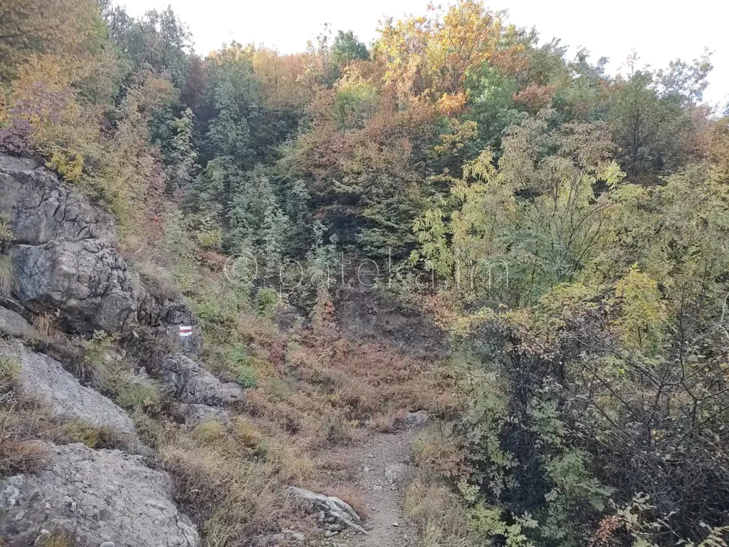 Екопътека Просечен камик Лютиброд