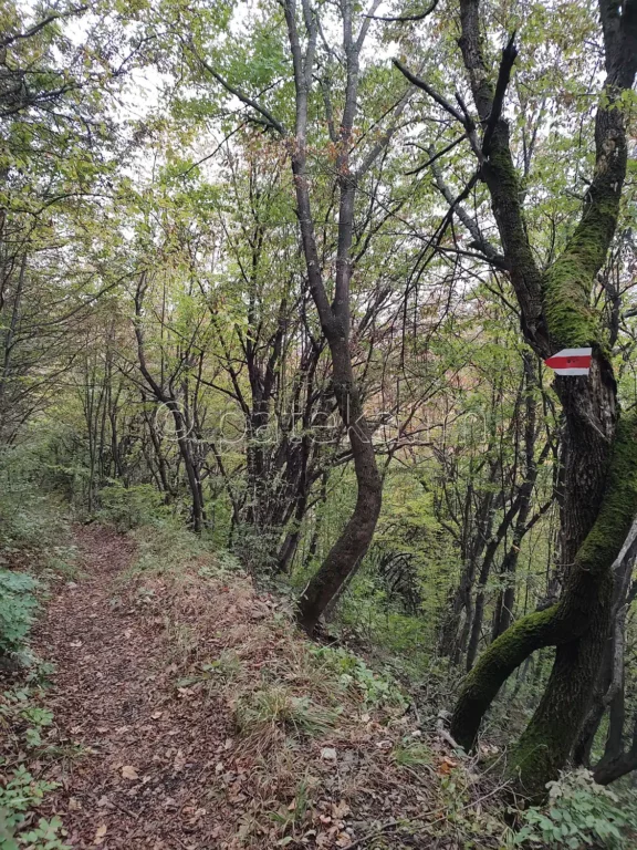 Червена лентова маркировка по екопътека Просечен камик