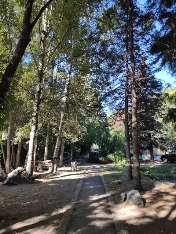 Пътеката в Железница