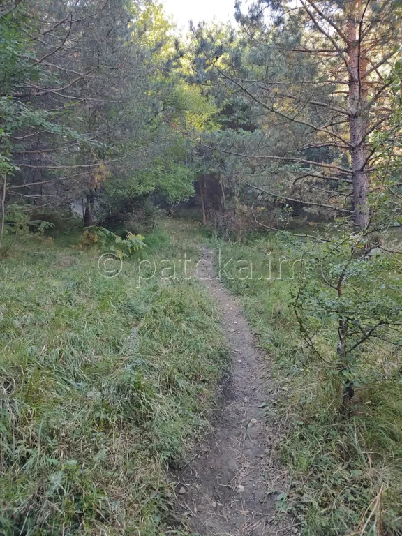 По маршрута за заслон Синята стрела от село Железница