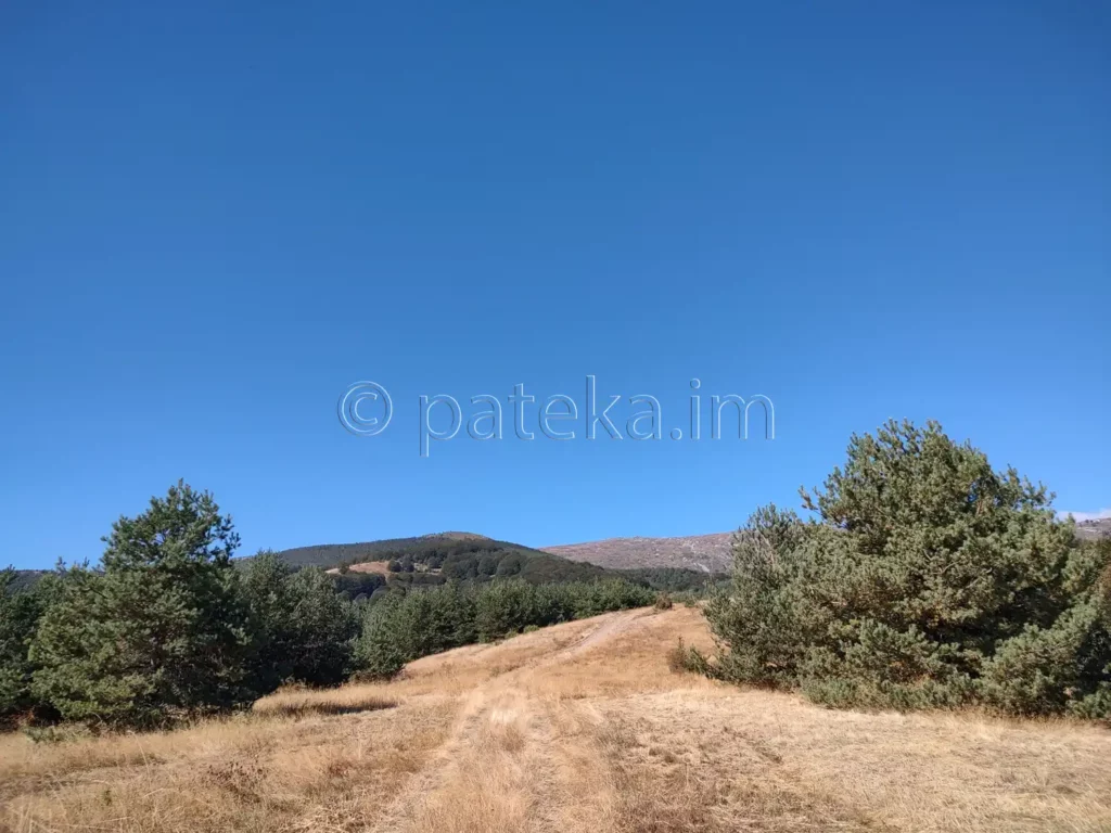 По маршрута за заслон Синята стрела от село Железница