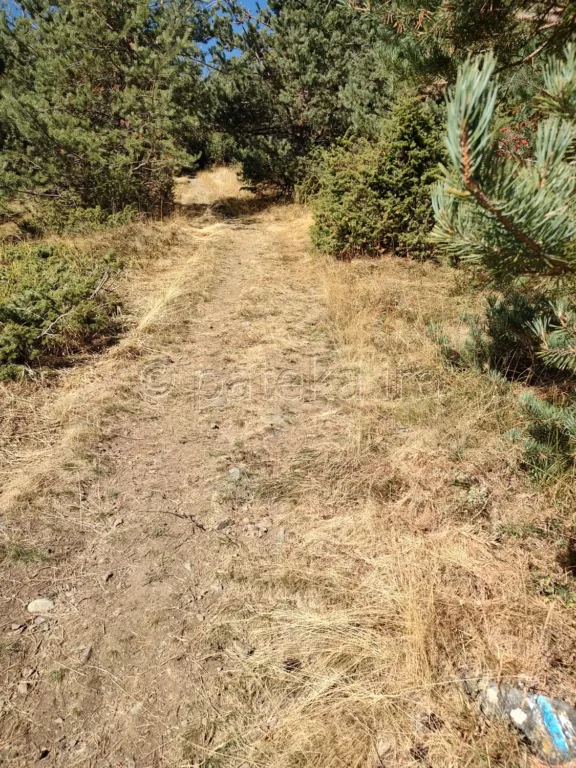 По маршрута за заслон Синята стрела от село Железница