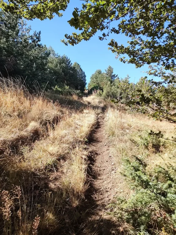 По маршрута за заслон Синята стрела от село Железница