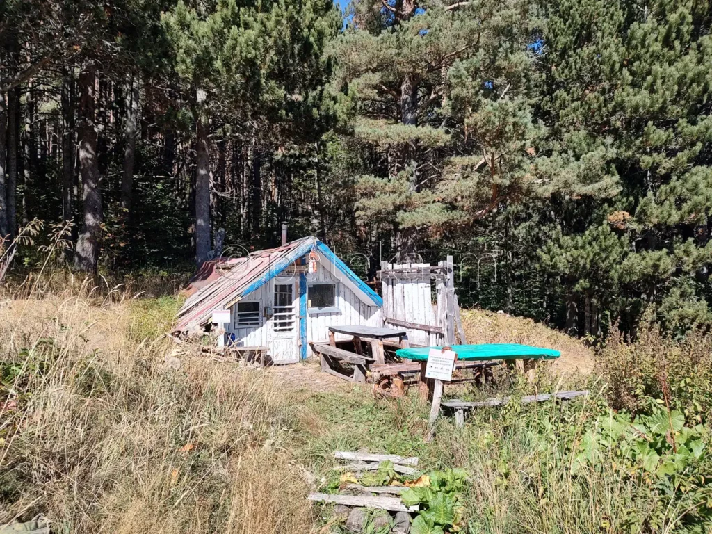 Заслон Синята стрела 1